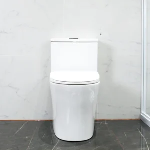 WP-8609 All-in-one bathroom toilet with dual flush system, comfort-height bidet seat, and easy installation