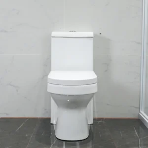 WP-8600 Ceramic Toilet Bathroom Toilet Comfort Height Bidet Seat, Strong and Durable