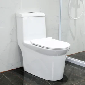 WP-8610 Ceramic One-piece Bathroom Toilet Dual-Flush System