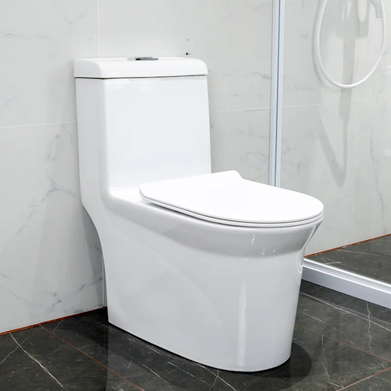WP-8610 Ceramic One-piece Bathroom Toilet Dual-Flush System