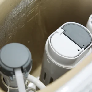 WP-8612 Chic White Bathroom Toilet with Dual Flush System