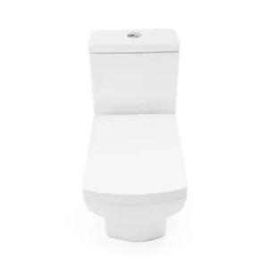 WP-0067A Bathroom floor-standing toilet with slow-down seat and dual flush system, better long-term gloss