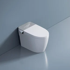 Grey Smart Toilet with Remote Control, Heated Seat, and Night Light Function
