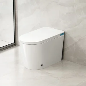 Left Side 067 Intelligent One-Piece Toilet with Auto Open Lid and Warm Air Dryer
