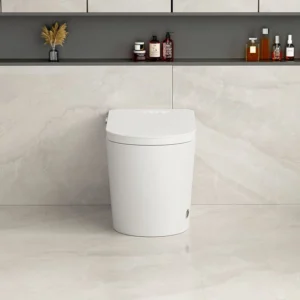 Front 067 Intelligent One-Piece Toilet with Auto Open Lid and Warm Air Dryer
