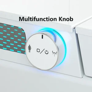 Multifunction Knob 067 Intelligent One-Piece Toilet with Auto Open Lid and Warm Air Dryer