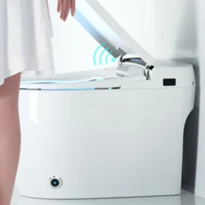 Detail 082 High-End Smart Toilet with Pulsating Cleaning and Adjustable Water Temperature