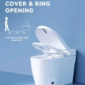 Radar 090 Smart Toilet with Remote Control, Heated Seat, and Night Light Function