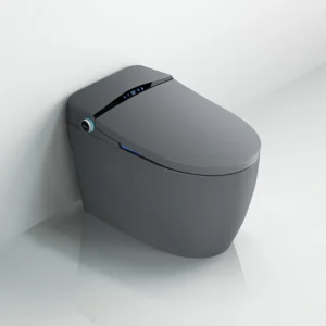 Grey 082 High-End Smart Toilet with Pulsating Cleaning and Adjustable Water Temperature