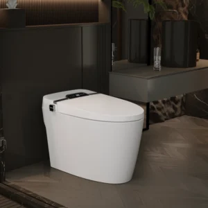 Smart gray ceramic toilet with remote control and dual waterway design