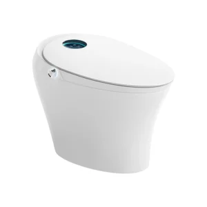 Right Side 051 Luxury Smart Toilet with Auto Lid Open Close Air Dryer Intelligent Sterilization for Bathroom Projects