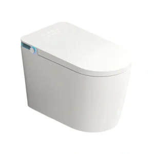 White 067 Intelligent One-Piece Toilet with Auto Open Lid and Warm Air Dryer