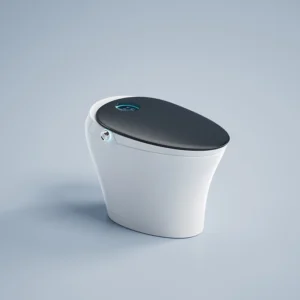 Black 051 Luxury Smart Toilet with Auto Lid Open Close Air Dryer Intelligent Sterilization for Bathroom Projects