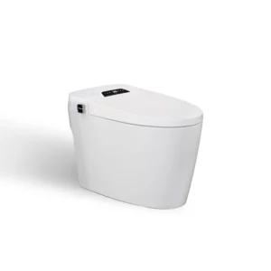 Smart Ceramic Toilet with Remote Control & Dual Waterway Design