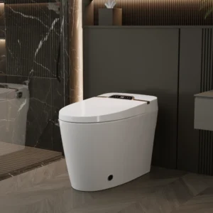 Smart Ceramic Toilet with Remote Control & Dual Waterway Design