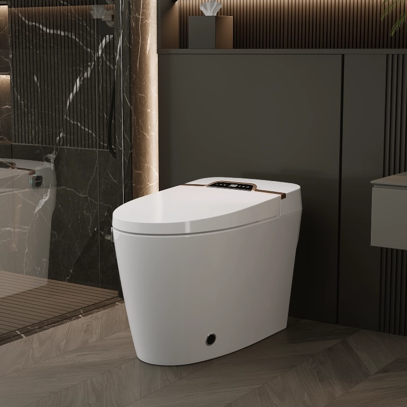 Smart Ceramic Toilet with Remote Control & Dual Waterway Design