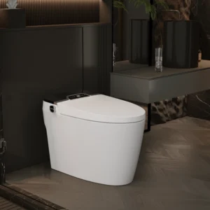 Smart black ceramic toilet with remote control and dual waterway design