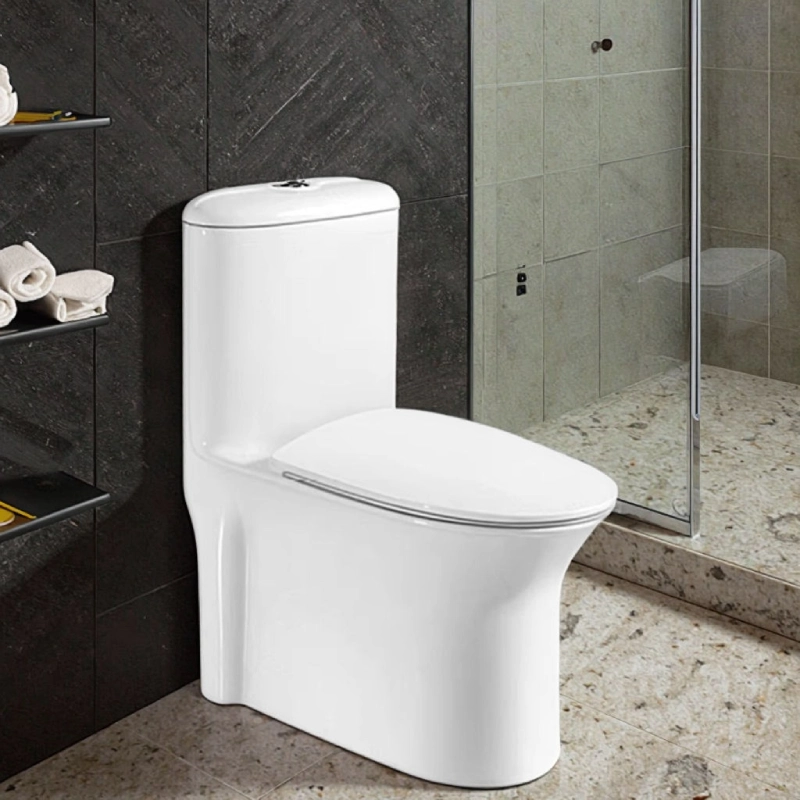 Comfort Height Elongated One Piece Toilet ADA Compliant