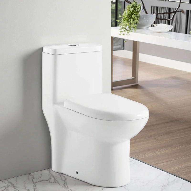 Modern Skirted One Piece Toilet Manufacturer and Supplier