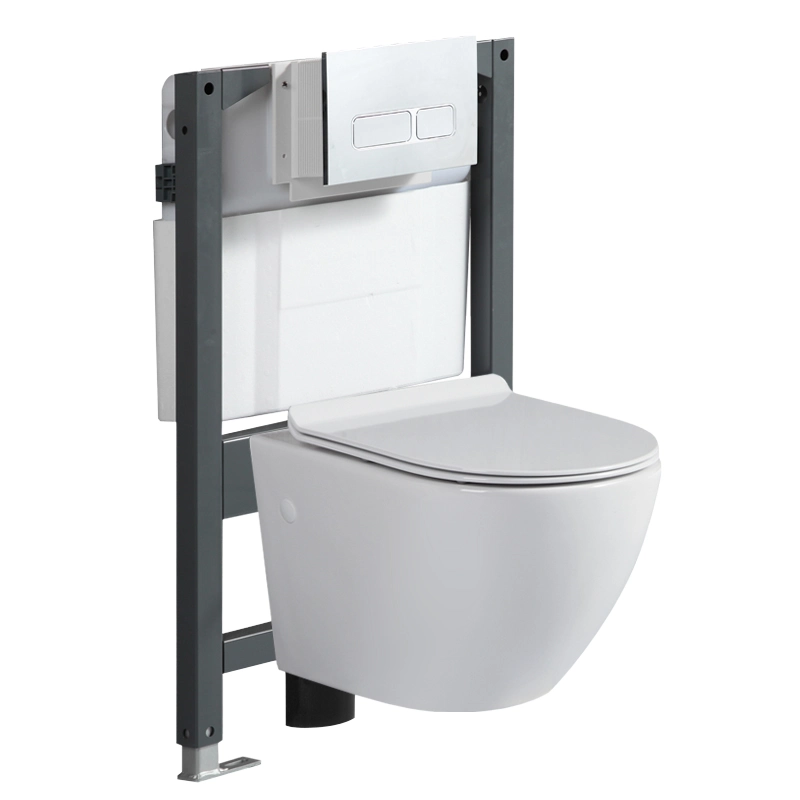 P-Trap Wall Mounted Toilet Technical Specifications