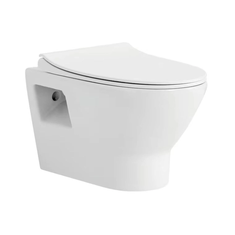 High-End Commercial Wall Mounted Water Closet