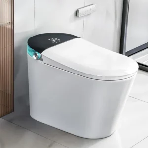 G5 Freestanding One-piece Smart Toilet with Warm Air Drying and Aromatherapy Deodorization