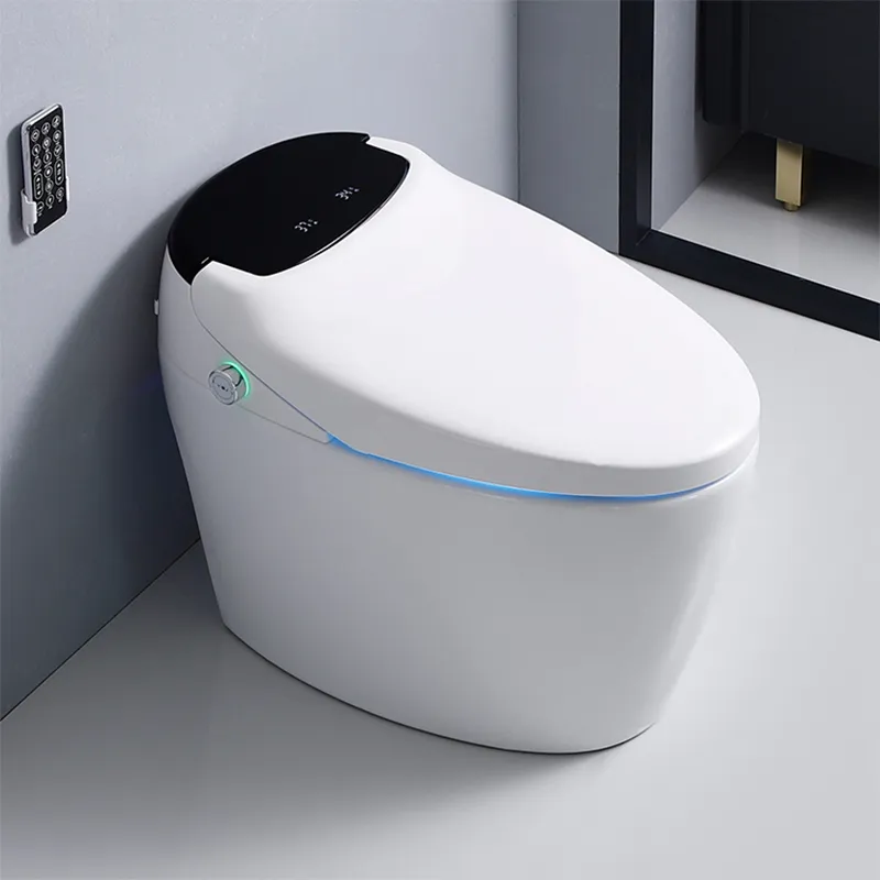 35A Advanced Freestanding Bathroom Smart Toilet with Intelligent Functions for Hotel Project 2 35A Advanced Freestanding Bathroom Smart Toilet with Intelligent Functions for Hotel Project 2