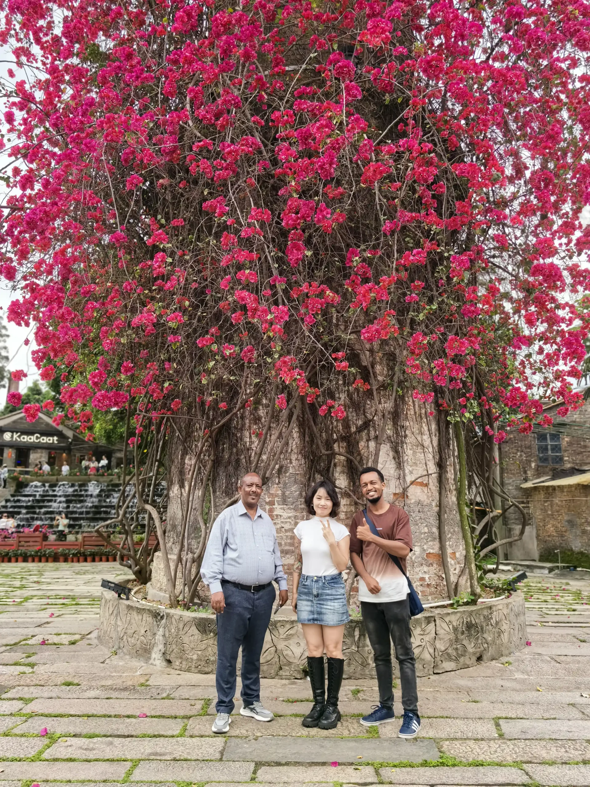 Commercial bathroom project featuring Georgebuildshop sanitary ware