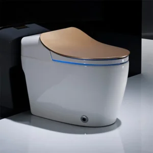 smart toilet with gold cover for villa project