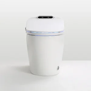 Q9 Intelligent Bathroom Smart Toilet with Automatic Flush and Voice Control