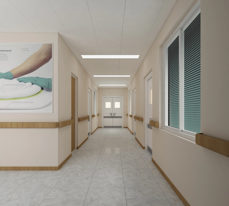 Hospital Corridors & Shared Facilities