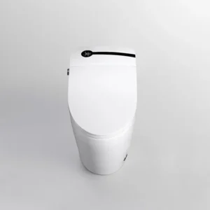 i8 Freestanding Bathroom Smart Toilet with Multi-functional Cleaning and Warm Air Drying for Resort