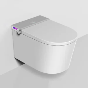 gray wall-hung smart toilet with concealed tank for villa
