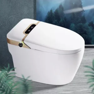 W9 One-piece Tankless Bathroom Siphonic Smart Toilet with Foot Sensor for Residential Project