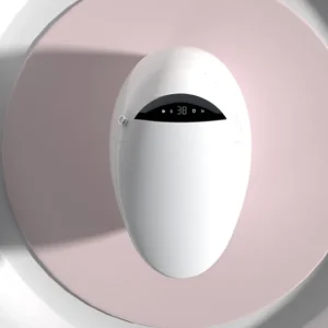 Y1 Egg-shaped Bathroom Smart Toilet with Warm Air Drying for High-end Villa