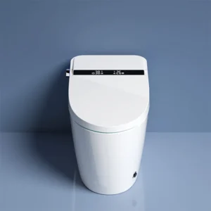 W1 Freestanding White Bathroom Smart Toilet with Intelligent Cleaning for Villa Project