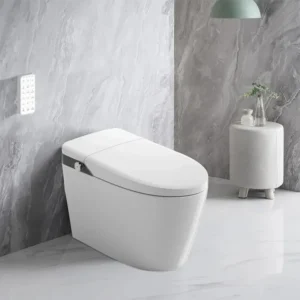 W7 Freestanding Integrated Bathroom Smart Toilet with Automatic Cleaning for Villa