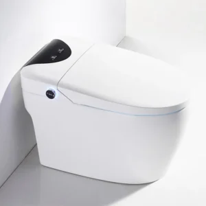 W8 Floor-mounted One Piece Bathroom Smart Toilet with Full Function for Contemporary Resort