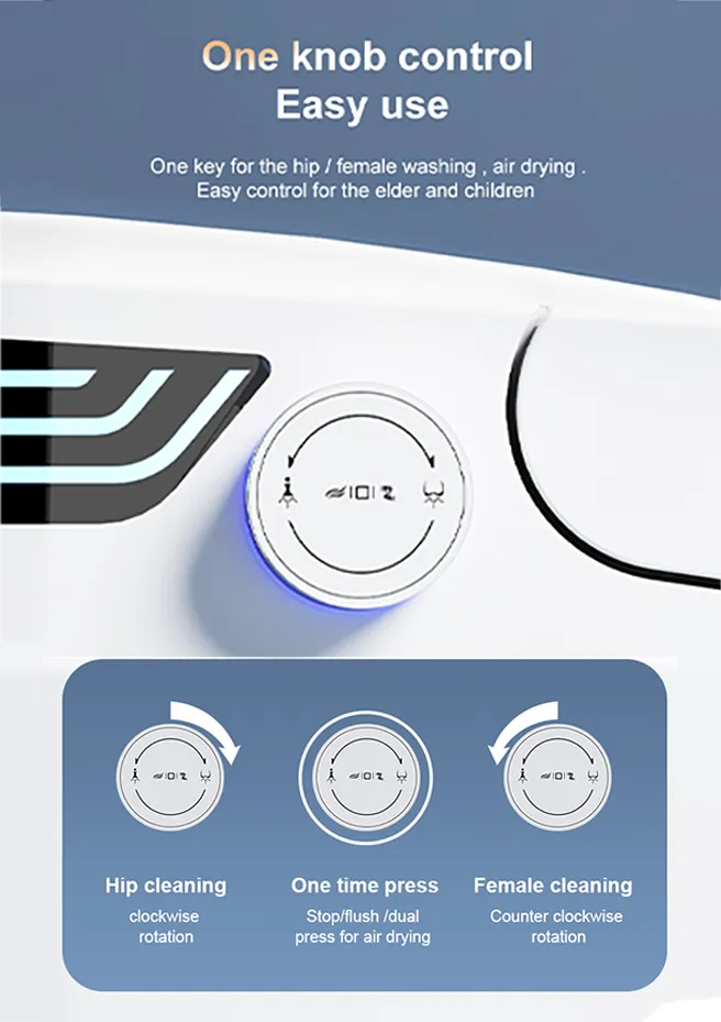 W4 Tankless Integrated Bathroom Smart Toilet with One Knob Control for Luxury Villa